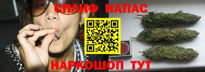 спиды Дмитров