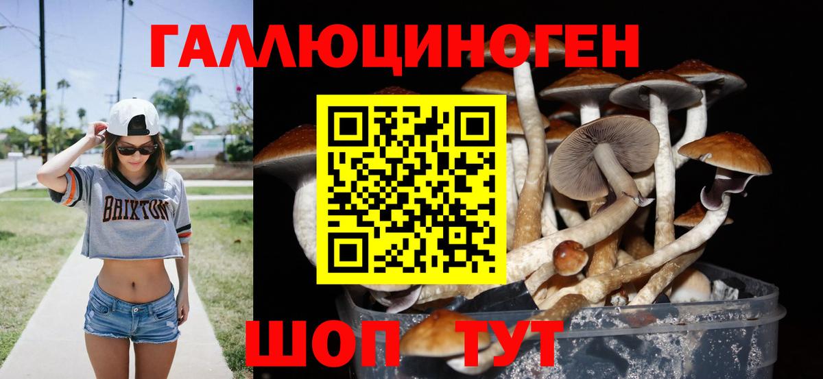 Дивногорск  Галлюциногенные грибы Cubensis  Вход с VPN 